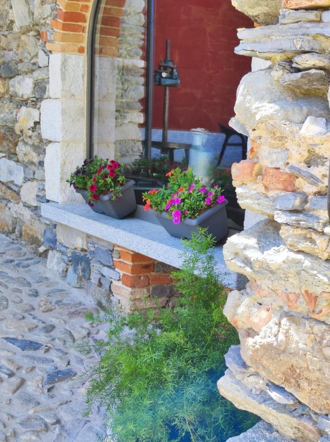 Agriturismo Il Medeghino ムッソ エクステリア 写真