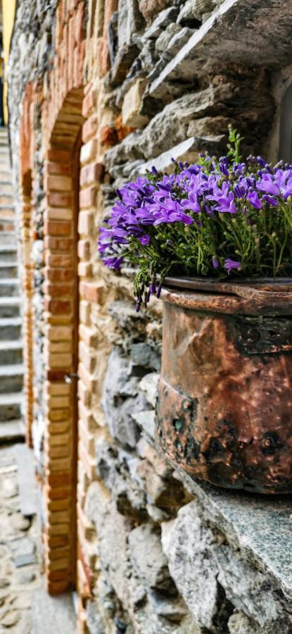 Agriturismo Il Medeghino ムッソ エクステリア 写真
